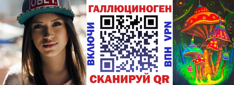 Псилоцибиновые грибы прущие грибы  даркнет сайт  Советская Гавань 