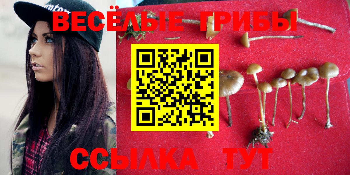 сколько стоит  Вход с VPN  Советская Гавань  Псилоцибиновые грибы GOLDEN TEACHER 