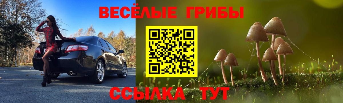 Галлюциногенные грибы Psilocybe Советская Гавань