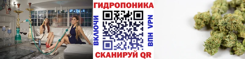 Бошки Шишки тримм Советская Гавань